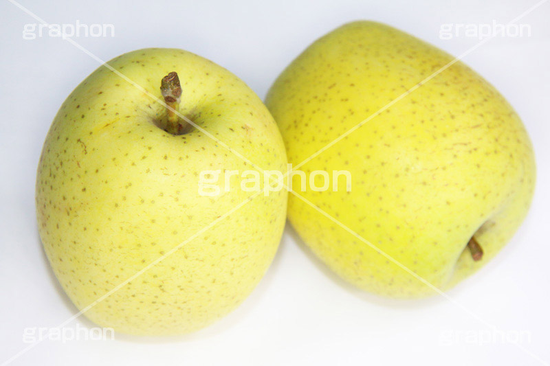 青りんご,りんご,リンゴ,アップル,apple,greenapple,果樹,果実,フルーツ,果物,くだもの,爽やか,甘酸っぱい,木の実,デザート,dessert