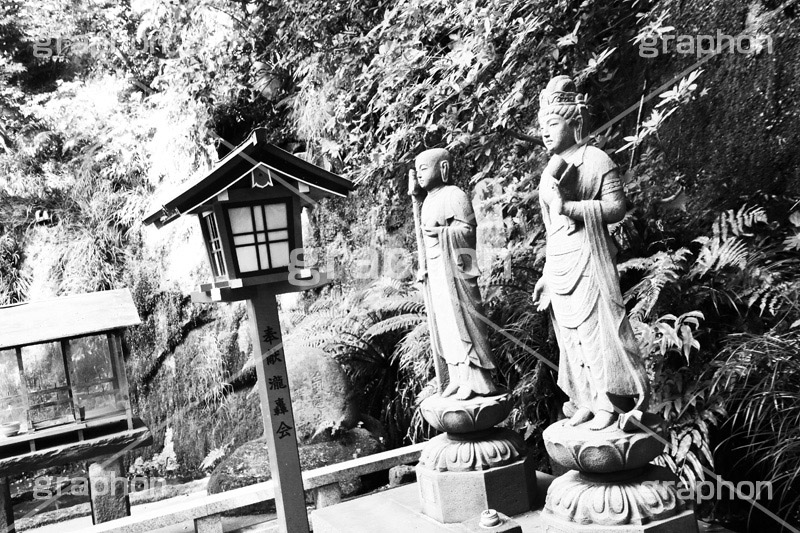 等々力渓谷(モノクロ),モノクロ,白黒,しろくろ,モノクローム,単色画,単彩画,単色
