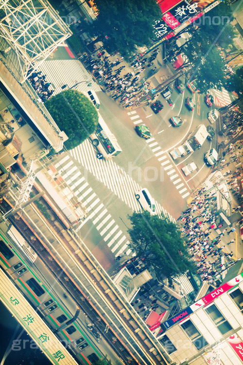 渋谷駅前(ヴィンテージ),トイカメラ撮影,トイカメラ,ヴィンテージ,ビンテージ,レトロ,お洒落,おしゃれ,オシャレ,味わい,トンネル効果