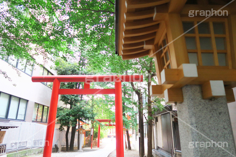 花園神社,神社,参拝,お参り,新宿,新宿区,郷社,倉稲魂命,日本武尊,受持神,徳川家康,文化財,芸能,都心,都会,鳥居,shrine,japan,灯籠