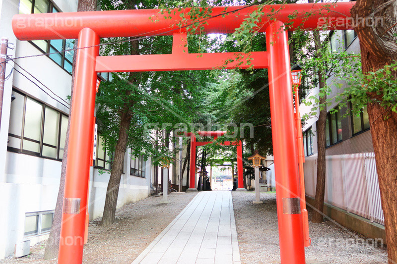 花園神社,神社,参拝,お参り,新宿,新宿区,郷社,倉稲魂命,日本武尊,受持神,徳川家康,文化財,芸能,都心,都会,鳥居,shrine,japan