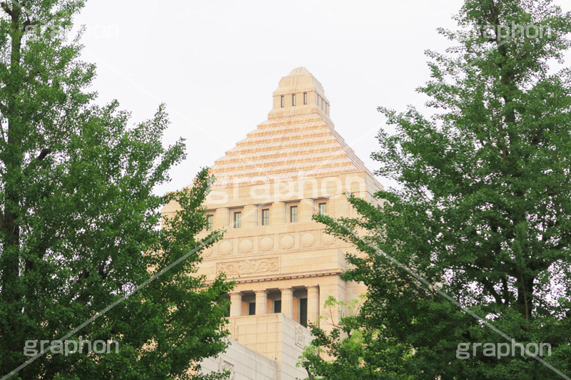 国会議事堂,国会,中枢,国,国家,日本,japan,政治,政治家,議員,議会,霞が関,politics,government,政権,権力,選挙,デモ,シンボル,symbol,帝国,参議院,衆議院,永田町