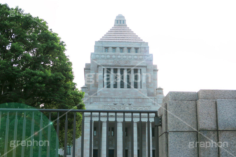 国会議事堂,国会,中枢,国,国家,日本,japan,政治,政治家,議員,議会,霞が関,politics,government,政権,権力,選挙,デモ,シンボル,symbol,帝国,参議院,衆議院,永田町