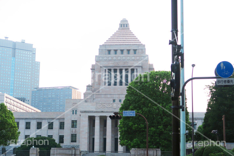 国会議事堂,国会,中枢,国,国家,日本,japan,政治,政治家,議員,議会,霞が関,politics,government,政権,権力,選挙,デモ,シンボル,symbol,帝国,参議院,衆議院,永田町