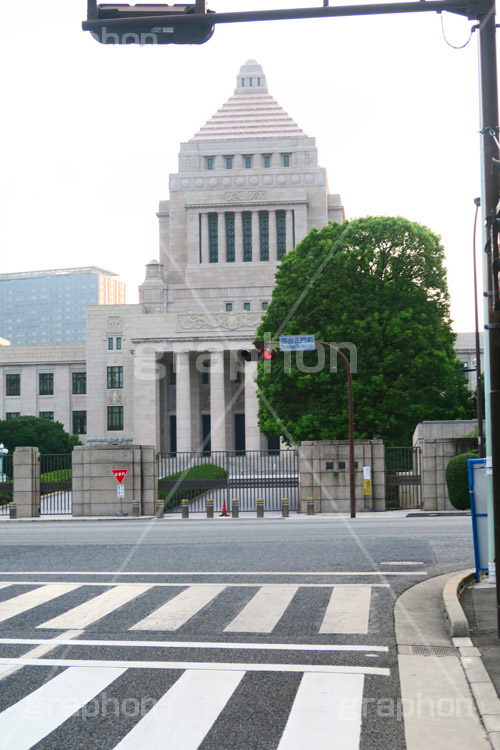 国会議事堂,国会,中枢,国,国家,日本,japan,政治,政治家,議員,議会,霞が関,politics,government,政権,権力,選挙,デモ,シンボル,symbol,帝国,参議院,衆議院,永田町