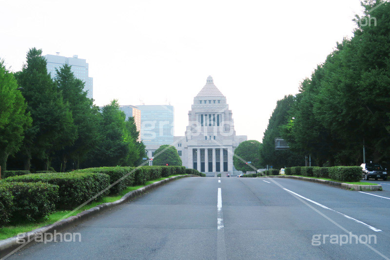 国会議事堂,国会,中枢,国,国家,日本,japan,政治,政治家,議員,議会,霞が関,politics,government,政権,権力,選挙,デモ,シンボル,symbol,帝国,参議院,衆議院,永田町