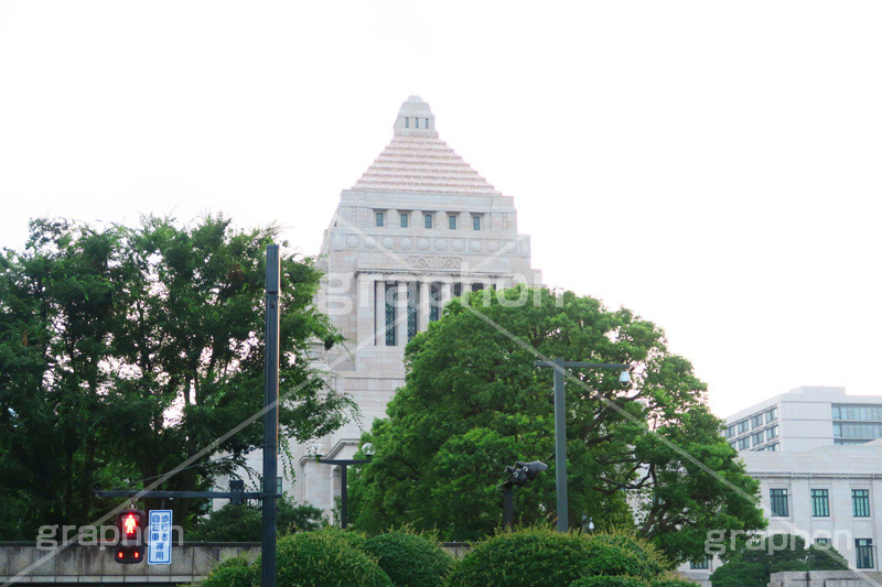国会議事堂,国会,中枢,国,国家,日本,japan,政治,政治家,議員,議会,霞が関,politics,government,政権,権力,選挙,デモ,シンボル,symbol,帝国,参議院,衆議院,永田町