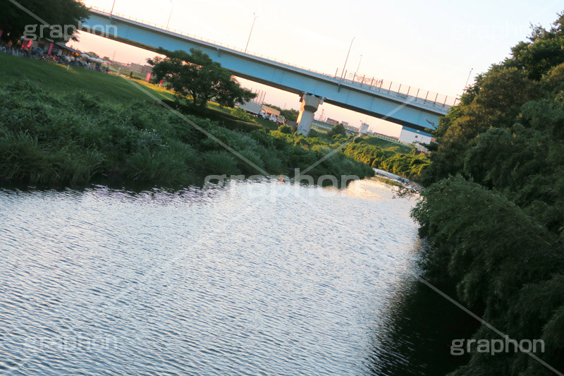 多摩川,河川敷,二子玉,二子玉川,にこたま,ニコタマ,世田谷区,川,河原,かわ,河川,橋,river