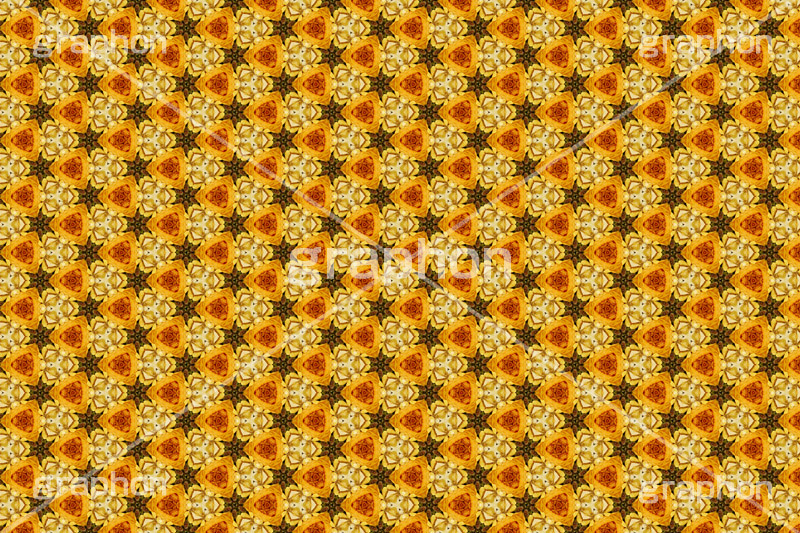 ドライフラワーをパターンにしてみた,ドライフラワー,フラワー,flower,花,パターン,モノグラム,pattern,monogram,柄,がら,模様,もよう,texture,テクスチャ,テクスチャ―,万華鏡,図案,加工,フォトパターン,してみた,シリーズ,スマホ撮影