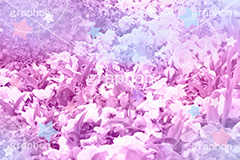 ふらわー,フラワー,flower,ゆめかわいい,ゆめ,夢,カワイイ,かわいい,可愛い,メルヘン,メルヘンチック,メンヘラ,病気,病み,うつ,鬱,パステル,ふわふわ,フワフワ,幻想的,少女,フェアリー,ドリーム,dream,fantasy,girl,ガーリー,ファンタジー,女の子,女子,cute,加工,プリ画,女子力,poem,ポエム