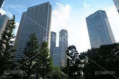 新宿西口ビル群,西口,新宿,新宿区,ビル,都会,ビル群,高層ビル,ビジネス,都庁前,都庁,オフィス街,オフィス,office,shinjuku,building,西新宿