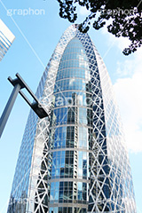 新宿コクーンタワー,コクーン,タワー,新宿,新宿西口,西口,駅前,tower,cocoon,building,office,feature,オフィス,ビル,高層ビル,オフィスビル,近未来,編目,編み目,真下,見上げ,反射,西新宿
