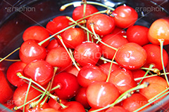 さくらんぼ,サクランボ,桜桃,ミザクラ,実桜,果樹,果実,フルーツ,果物,くだもの,爽やか,甘酸っぱい,赤,桜桃,フレッシュ,fresh,fruit