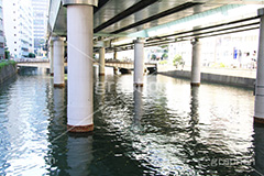 日本橋川,日本橋,川,かわ,河川,橋,高架,高架下,中央区,首都高速道路,首都高,首都高速,一級河川,橋脚,river,水面