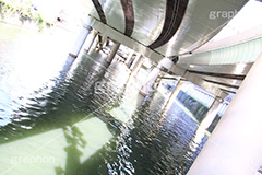 日本橋川,日本橋,川,かわ,河川,橋,高架,高架下,中央区,首都高速道路,首都高,首都高速,一級河川,橋脚,river,水面