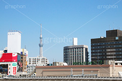 上野からのスカイツリー,スカイツリー,東京スカイツリー,TOKYO SKYTREE,上野,駅前,上野駅,眺め,風景,台東区,上野公園,上野恩賜公園,tower,japan,タワー