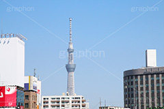 上野からのスカイツリー,スカイツリー,東京スカイツリー,TOKYO SKYTREE,上野,駅前,上野駅,眺め,風景,台東区,上野公園,上野恩賜公園,tower,japan,タワー