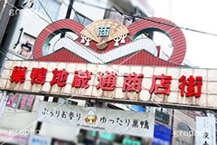 巣鴨地蔵通商店街,巣鴨,すがも,地蔵,とげぬき地蔵,商店街,巣鴨地蔵通り商店街,豊島区,高岩寺,おばあちゃんの原宿,お年寄り,高齢者,シニア,高齢者,真性寺,シルバー,看板,shopping,ショッピング,買い物,敬老,老人