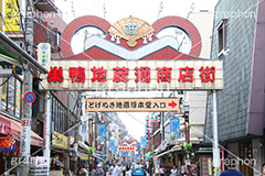 巣鴨地蔵通商店街,巣鴨,すがも,地蔵,とげぬき地蔵,商店街,巣鴨地蔵通り商店街,豊島区,高岩寺,おばあちゃんの原宿,お年寄り,高齢者,シニア,高齢者,真性寺,シルバー,看板,shopping,ショッピング,買い物,敬老,老人