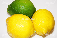 レモン,れもん,ライム,らいむ,果樹,果実,フルーツ,果物,くだもの,爽やか,酸っぱい,ビタミン,クエン酸,柑橘,搾る,しぼる,トロピカル,フレッシュ,tropical,fruit,fresh