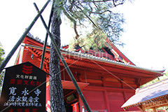 寬永寺,上野,うえの,台東区,下町,天台宗,徳川家光,寺,寺院,参拝,お参り,清水観音堂,清水,観音,文化財,重要文化財,江戸