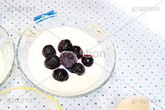 ブルーベリーヨーグルト,ヨーグルト,ヨーグルトにブルーベリー,ブルーベリー,ベリー,blueberry,berry,fruit,yoghourt,果樹,果実,フルーツ,果物,くだもの,爽やか,甘酸っぱい,酸味,発酵,乳酸菌,紫,小果実,アントシアニン,視力,蜂蜜,はちみつ,ハチミツ