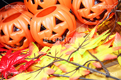 ジャックオーランタン,ハロウィン,はろうぃん,ハロウィーン,Halloween,かぼちゃ,カボチャ,南瓜,ランタン,イベント,秋,紅葉,落ち葉,もみじ,オーナメント,ornament,パンプキン,pumpkin,行事