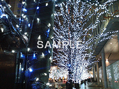 イルミネーション,イルミ,電飾,電球,発光ダイオード六本木,イベント,行事,LED,illumination
