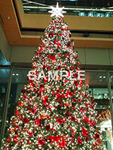 クリスマスツリー,ツリー,電飾,電球,発光ダイオード,LED,クリスマス,飾り,オーナメント,丸の内,イベント,行事