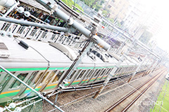 真夏のホーム,真夏,逆光,フレア,湘南新宿ライン,湘南新宿,電車,でんしゃ,鉄道,乗り物,交通,路線,線路,通勤,通学,撮り鉄,とり鉄,車両,電車/鉄道,巣鴨駅,駅,黄緑,線路,巣鴨,ホーム,オレンジ,緑,グリーン,暑い,flare,JR,train
