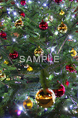 クリスマスツリー,ツリー,もみのき,モミの木,樅木,イルミネーション,イルミ,illumination,電飾,電球,発光ダイオード,LED,冬,キラキラ,綺麗,きれい,キレイ,煌,輝,デート,スポット,都内,クリスマス,飾り,オーナメント,CHRISTMAS,Xmas,イベント,行事
