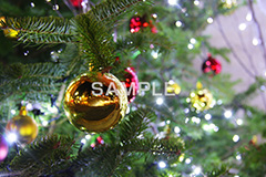 クリスマスツリー,ツリー,もみのき,モミの木,樅木,イルミネーション,イルミ,illumination,電飾,電球,発光ダイオード,LED,冬,キラキラ,綺麗,きれい,キレイ,煌,輝,デート,スポット,都内,クリスマス,飾り,オーナメント,CHRISTMAS,Xmas,イベント,行事