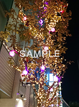 イルミネーション,イルミ,illumination,電飾,電球,発光ダイオード,LED,冬,都内,新宿,イベント,shinjuku,event,スマホ撮影,行事