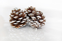 雪の積もった松ぼっくり,積もる,木の実,松ぼっくり,クリスマスオーナメント,クリスマス,飾り,デコレーション,リース,リボン,オーナメント,イベント,冬,雪,装飾,行事,CHRISTMAS,Xmas,snow,ornament