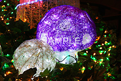 イルミネーション,イルミ,illumination,電飾,電球,発光ダイオード,LED,冬,キラキラ,綺麗,きれい,キレイ,煌,輝,デート,スポット,都内,クリスマス,オーナメント,ツリー 飾り,イベント,行事