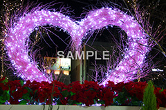 イルミネーション,イルミ,illumination,電飾,電球,発光ダイオード,LED,冬,キラキラ,綺麗,きれい,キレイ,煌,輝,デート,スポット,都内,クリスマス,自由が丘,ハート,アーチ,イベント,恋愛,失恋,恋,愛,目黒区,行事