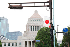 国会正門前,交差点,信号,国会議事堂,国会,中枢,国,国家,日本,japan,政治,政治家,議員,議会,霞が関,politics,government,政権,権力,選挙,デモ,シンボル,symbol,帝国,参議院,衆議院,永田町,日本,国旗,japan