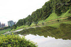 皇居,天皇,宮殿,東京,千代田区,大手町,お堀,溜池,江戸城,内堀,堀,重要文化財,japan,tokyo