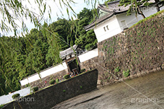 桜田門,門,入口,入り口,橋,皇居,天皇,宮殿,東京,千代田区,大手町,お堀,溜池,江戸城,内堀,堀,重要文化財,japan,tokyo,城外,守備,守る,木戸,高麗門