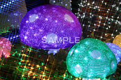 イルミネーション,イルミ,illumination,電飾,電球,発光ダイオード,LED,冬,キラキラ,綺麗,きれい,キレイ,煌,輝,デート,スポット,都内,クリスマス,オーナメント,ツリー 飾り,イベント,行事