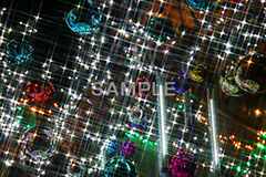 イルミネーション,イルミ,illumination,電飾,電球,発光ダイオード,LED,冬,キラキラ,綺麗,きれい,キレイ,煌,輝,デート,スポット,都内,クリスマス,オーナメント,ツリー 飾り,イベント,行事