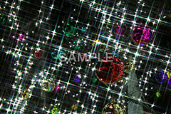 イルミネーション,イルミ,illumination,電飾,電球,発光ダイオード,LED,冬,キラキラ,綺麗,きれい,キレイ,煌,輝,デート,スポット,都内,クリスマス,オーナメント,ツリー 飾り,イベント,行事