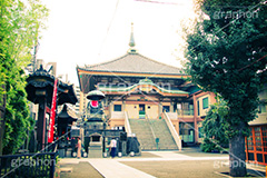 真性寺(ヴィンテージ),豊島区,トイカメラ撮影,トイカメラ,ヴィンテージ,ビンテージ,レトロ,お洒落,おしゃれ,オシャレ,味わい,トンネル効果