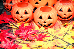 ジャックオーランタン(ヴィンテージ),かぼちゃ,パンプキン,pumpkin,トイカメラ撮影,トイカメラ,ヴィンテージ,ビンテージ,レトロ,お洒落,おしゃれ,オシャレ,味わい,トンネル効果,パンプキン,pumpkin
