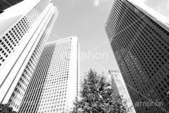 新宿西口ビル群(モノクロ),モノクロ,白黒,しろくろ,モノクローム,単色画,単彩画,単色,西新宿