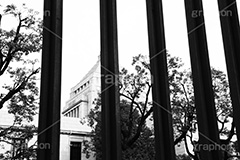 国会議事堂(モノクロ),モノクロ,白黒,しろくろ,モノクローム,単色画,単彩画,単色