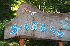 等々力渓谷入口,入口,看板,等々力渓谷,等々力,渓谷,世田谷区,世田谷,名勝,大自然,涼,マイナスイオン,谷沢川,スポット,さんぽ,散歩,木々,避暑地