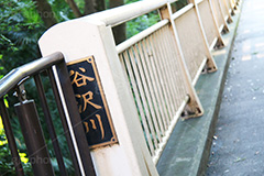 谷沢川,橋,はし,等々力渓谷,等々力,渓谷,世田谷区,世田谷,名勝,大自然,涼,マイナスイオン,谷沢川,スポット,さんぽ,散歩,木々,避暑地