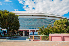 東京ドーム,ドーム,東京ドームシティ,dome,live,concert,baseball,BIG EGG,ビッグエッグ,野球,ベイスボール,野球場,巨人,ジャイアンツ,ライブ,ライヴ,コンサート,水道橋,春日,後楽園,文京区