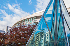 東京ドーム,ドーム,東京ドームシティ,dome,live,concert,baseball,BIG EGG,ビッグエッグ,野球,ベイスボール,野球場,巨人,ジャイアンツ,ライブ,ライヴ,コンサート,水道橋,春日,後楽園,文京区